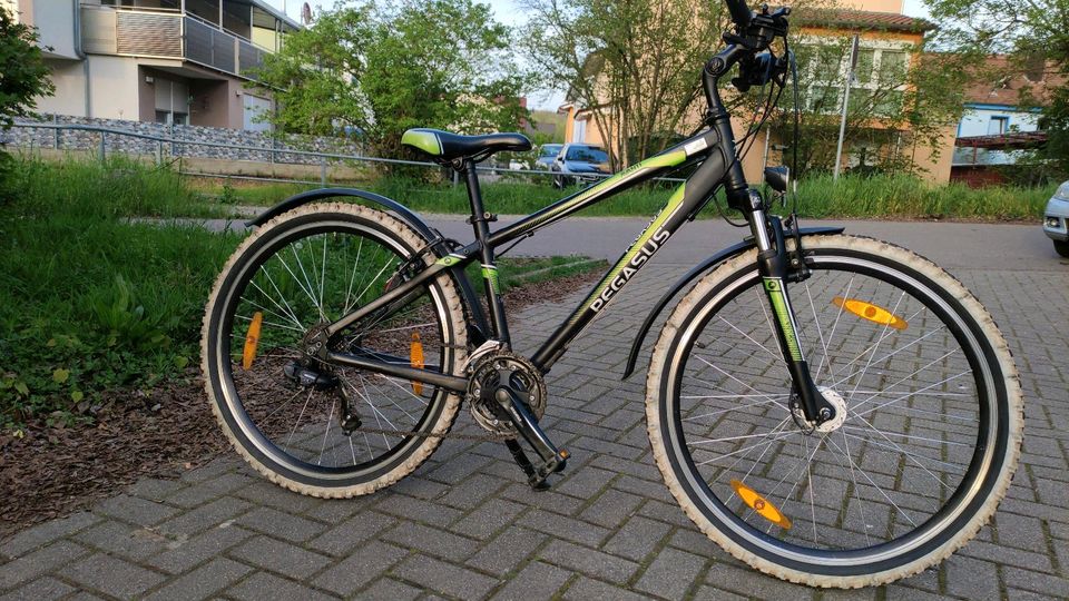 Pegasus Jugend Fahrrad in Lahr (Schwarzwald)