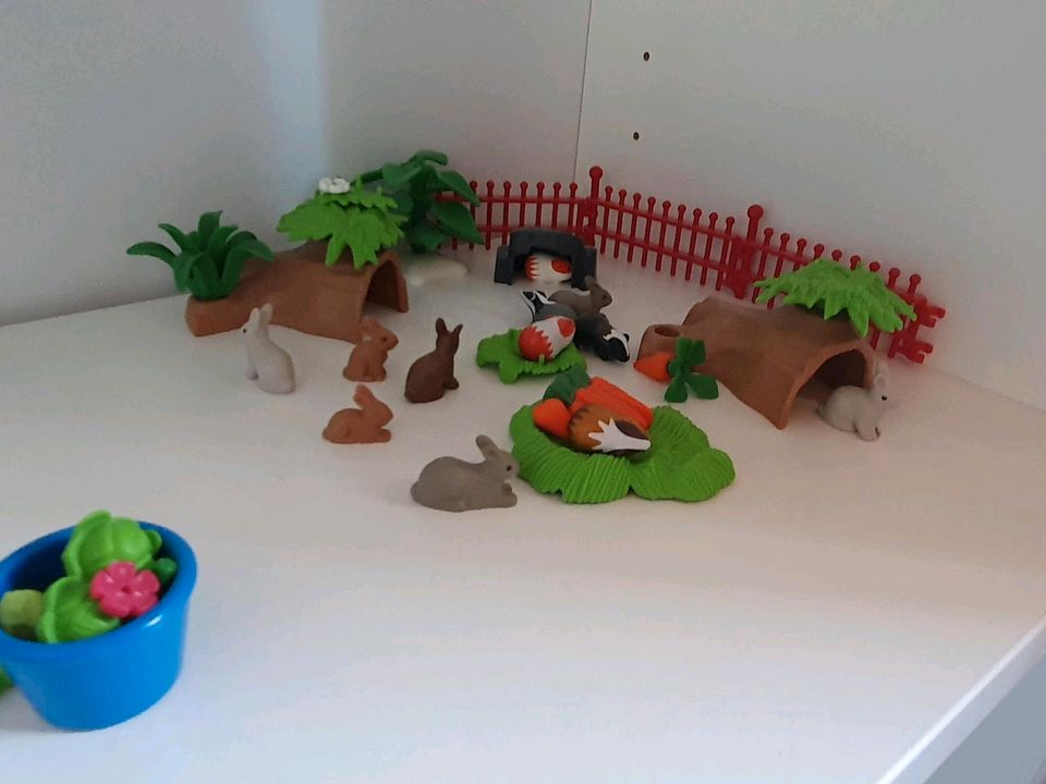 Playmobil Kleintierstall Meerschweinchen & Hase 9277 in Kirchberg