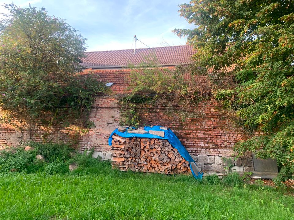 Bauplatz in Gaggenau-Hörden in Gaggenau