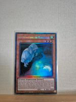 Yu-Gi-Oh Geistertrauernde und Mondeskälte RA02 Collectors Rare NM Baden-Württemberg - Aalen Vorschau