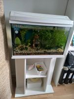 Aquarium Tetra 60l mit Unterschrank weiß Nordrhein-Westfalen - Wiehl Vorschau