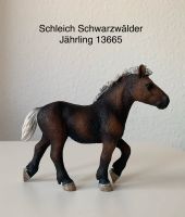 Schleich Horse Club 13665 Schwarzfelder Jährling  Pferd Pony Nordrhein-Westfalen - Dorsten Vorschau