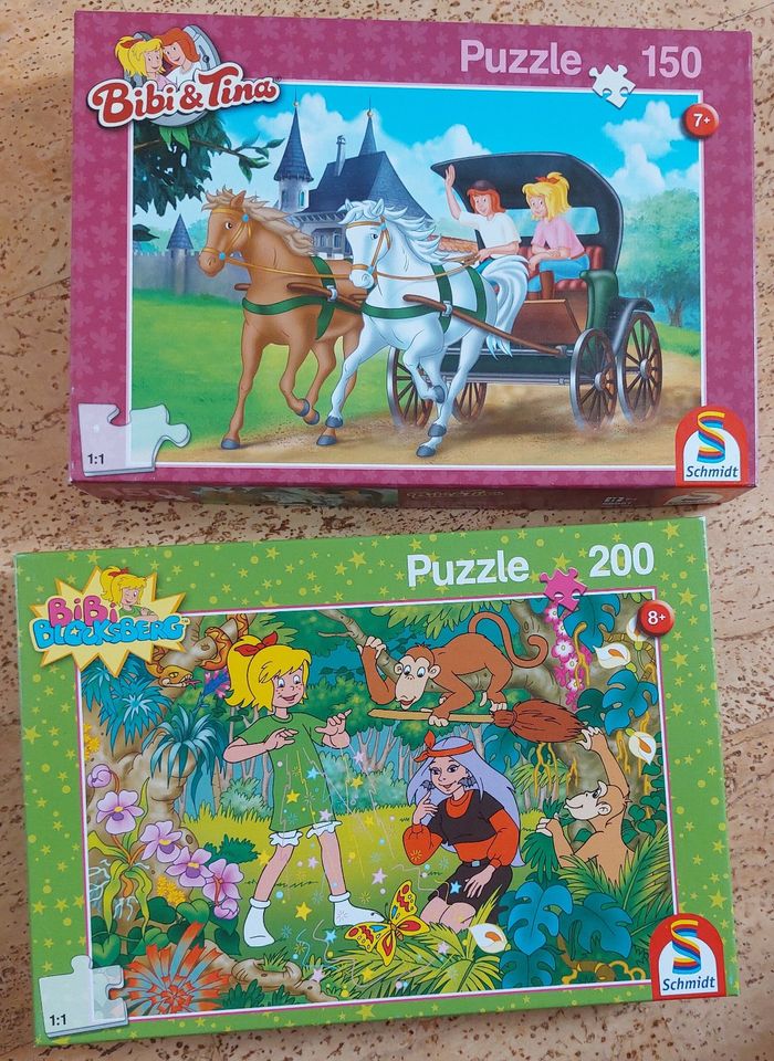 6 Puzzles ab 8 Jahren in Regensburg