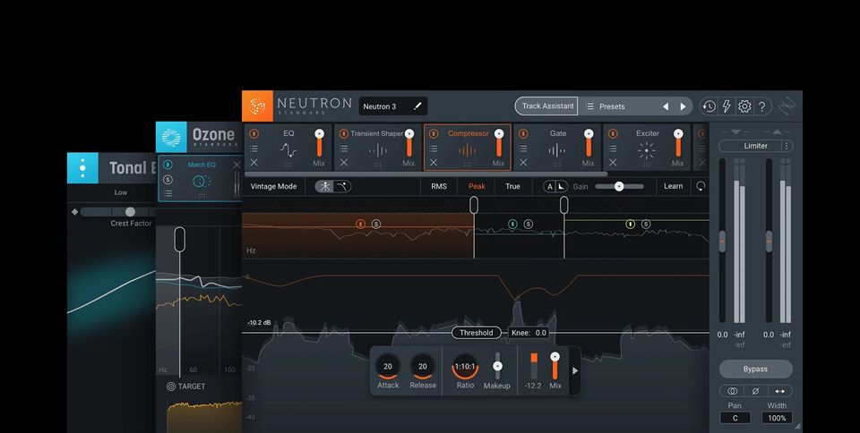 iZotope Mix & Master Advanced Bundle 10 Plugins VST 3, AAX, Au, in Leipzig