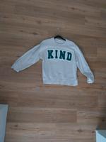 Mango Pullover Hessen - Rüsselsheim Vorschau