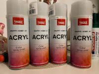 Acryl Spray Nordrhein-Westfalen - Heinsberg Vorschau