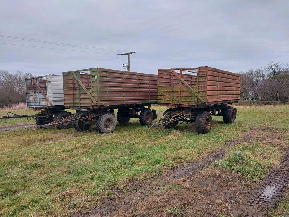 HW80 HW60 Anhänger Kipper Traktor Mistplatte Siloaufbau Getreide in Neustrelitz