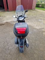 Roller Aprilia Leonardo 250 ccm Nordrhein-Westfalen - Reken Vorschau