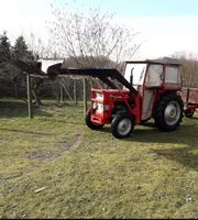 Traktor , Frontlader , Massey Ferguson MF135 Ludwigslust - Landkreis - Warsow Vorschau