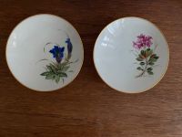 Rosenthal Handmalerei tiefe Tellerchen Blüten Vintage Pankow - Prenzlauer Berg Vorschau