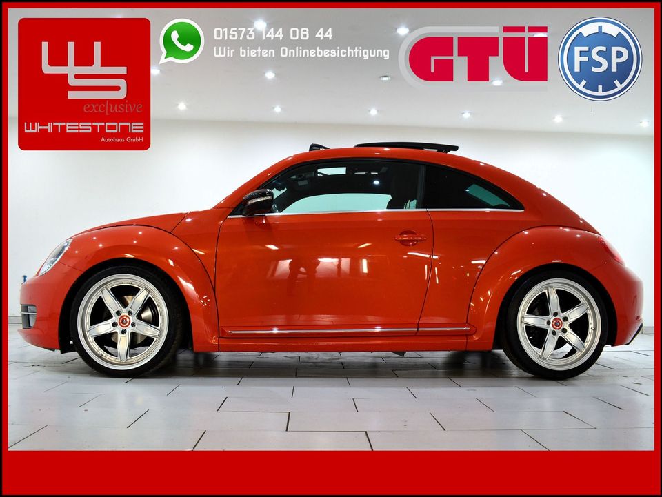 Volkswagen Beetle 1.2 TSI Sportpaket DSG Panorama 19 Zoll in Berlin