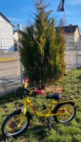 Kinderfahrrad Puky 16 Zoll Bayern - Dillingen (Donau) Vorschau