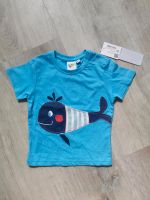 Bubble Gum T-Shirt Gr. 80 NEU Brandenburg - Oranienburg Vorschau