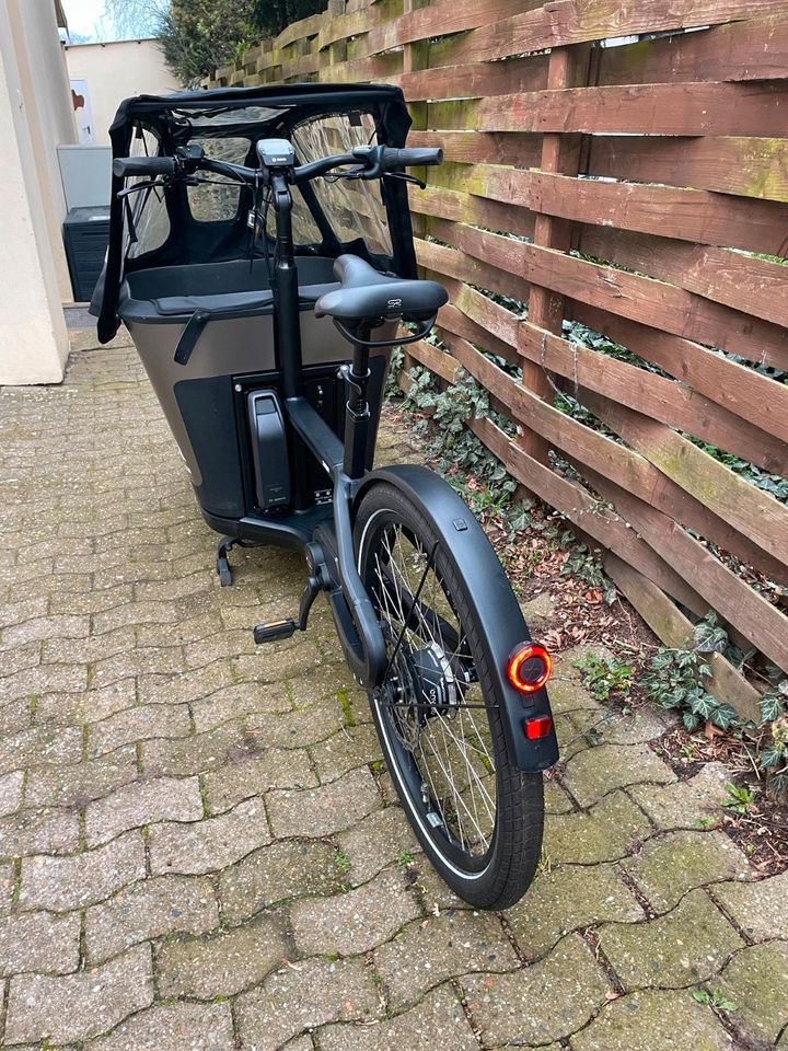 ‼️ Carqon Lastenfahrrad E-Lastenrad stufenlose Enviolo Nabe in Wunstorf