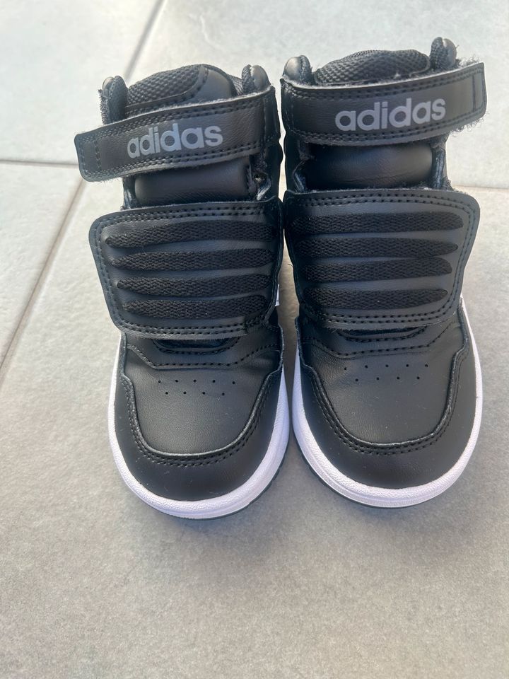 Adidas mid cut hoops 3.0 in München