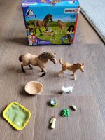 Schleich Horse Club 42432 Niedersachsen - Schöppenstedt Vorschau