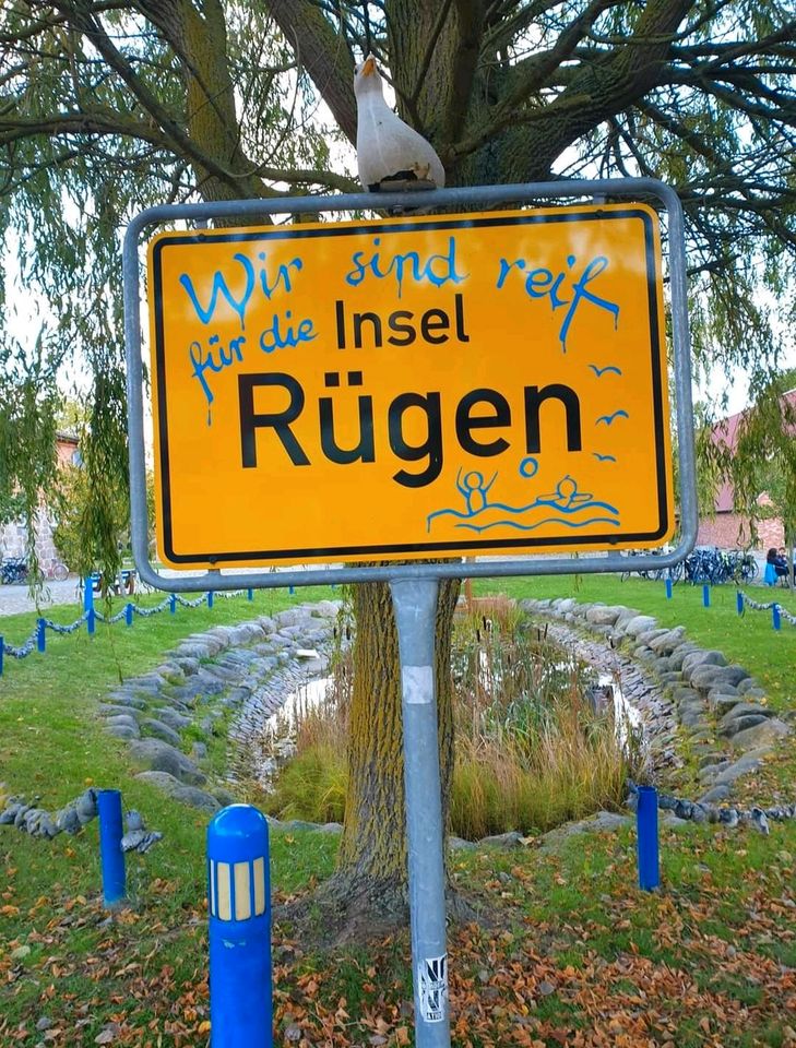 Bungalow Göhren Rügen Ostsee mieten in Erfurt