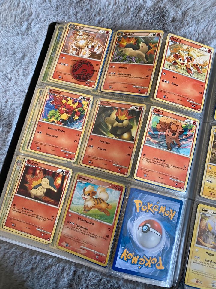 Pokémon Sammlung in Borod Westerwald