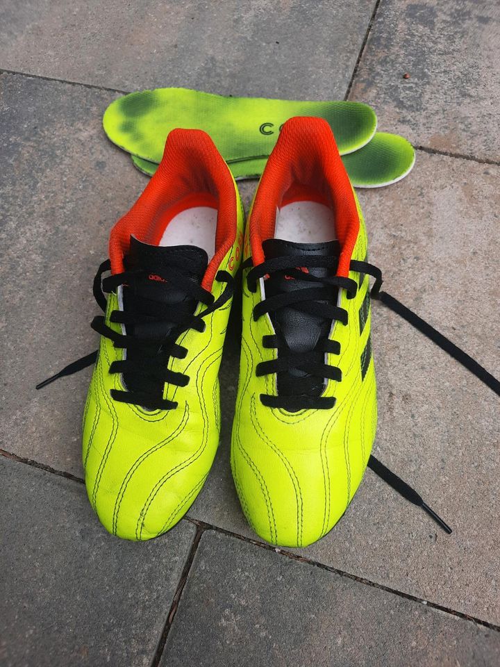 Adidas Copa Fußballschuhe Größe 33 1/2 in Stadecken-Elsheim