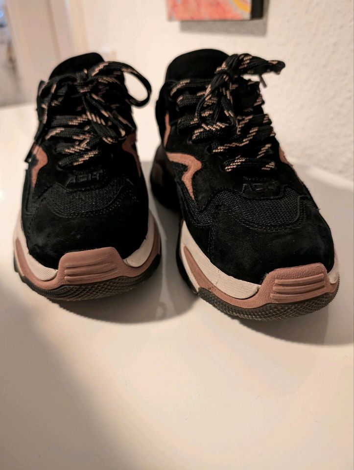 Ash chunky sneaker 37 Leder Blogger schwarz rosa wie neu in Dorsten