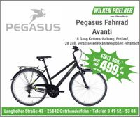 Pegasus Fahrrad AVANTI 18 Gang Trapez schwarz UVP 599 € Niedersachsen - Ostrhauderfehn Vorschau