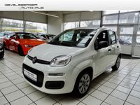 Fiat Panda Pop 1.2 8V *Klima* Zahnriemen erneuert* Nordrhein-Westfalen - Gevelsberg Vorschau