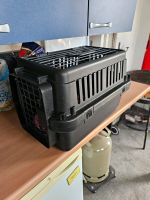 Hund oder Katze boxs Hessen - Kirchhain Vorschau