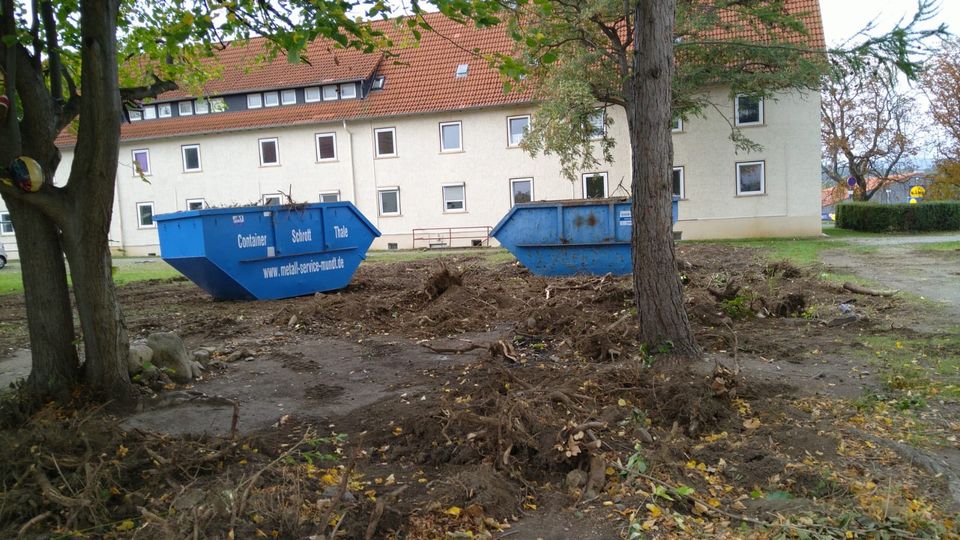 Hecke Entfernen in Sachsenburg