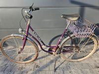 Fahrrad 28 Zoll Bayern - Egling a.d. Paar Vorschau