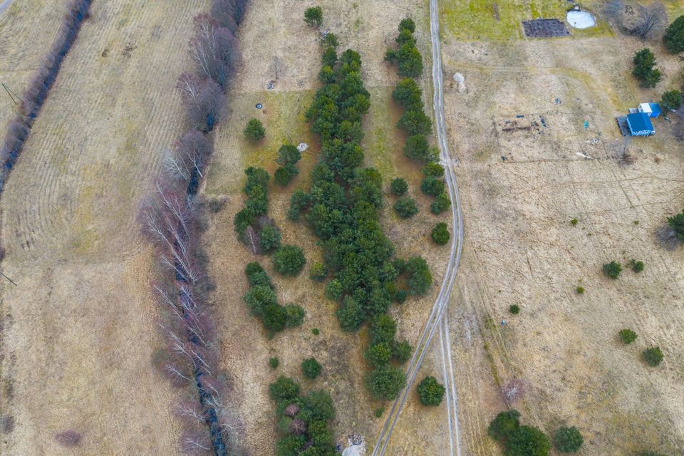 Naturnahes Grundstück auf dem Kap Mersrags in Lettland in Berlin