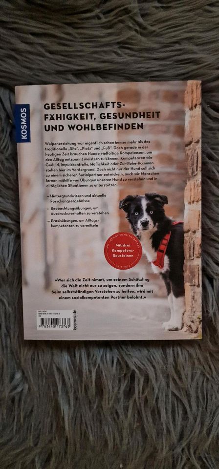 Hunderatgeber Moderne Welpenerziehung neu Buch in Dinslaken