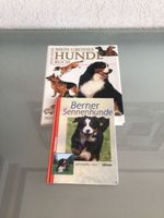 Berner Sennenhund  und diverse Rassenbuch Niedersachsen - Schiffdorf Vorschau