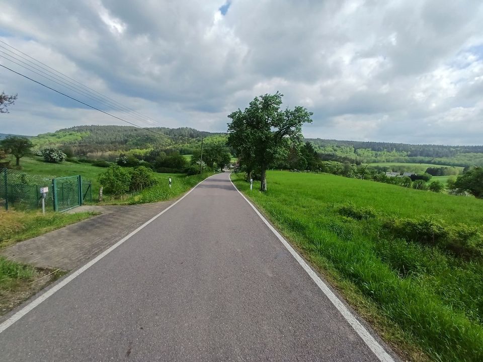 Baugrundstück in wunderschöner Natur und in Grenznähe in Nusbaum