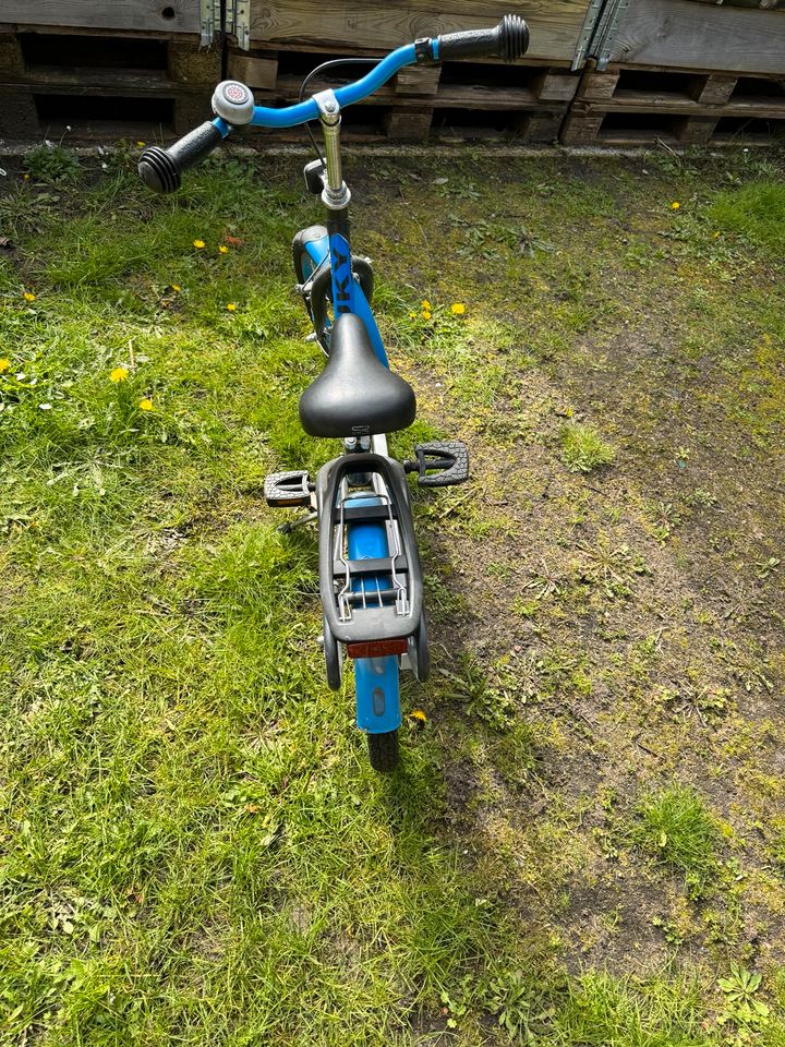 Puky Fahrrad blau 16 Zoll in Ludwigsfelde