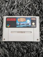 Harvest Moon Super Nintendo Spiel Nordrhein-Westfalen - Lohmar Vorschau