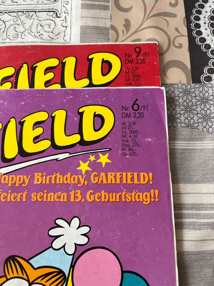 Garfield Comic 6 und 9 1991 in Bad Grönenbach