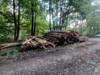 Lärche Fichte Holz Stammholz Thüringen - Rastenberg Vorschau