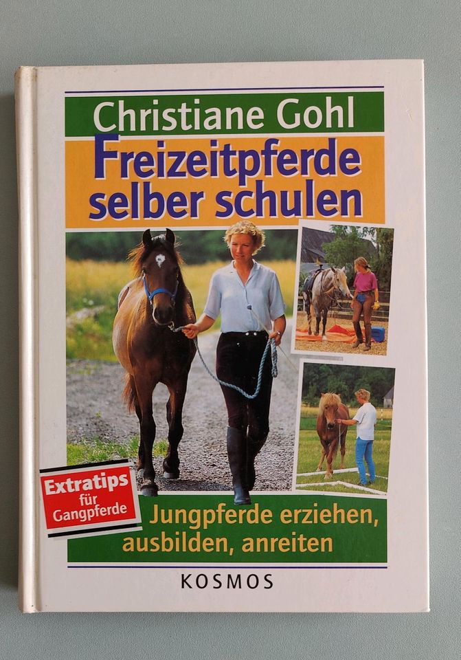 Freizeitpferde selber schulen, Christiane Gohl in Kirchhundem