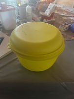 Tupperware Salat Frisch Rheinland-Pfalz - Kusel Vorschau