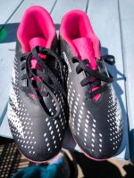 Fussball Schuhe Adidas Predator Mecklenburg-Vorpommern - Altenpleen Vorschau