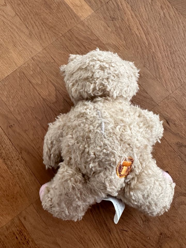 ❗️Der etwas andere Teddybär von Tuttels möchte ein neues Zuhause in Schwerin