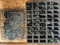 Warhammer 40k Necrons Indomitus komplett Nordrhein-Westfalen - Dormagen Vorschau