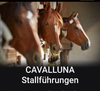 ⁉️SUCHE Tickets Cavalluna Stallführung 03.03. Stuttgart⁉️ Baden-Württemberg - Bad Dürrheim Vorschau