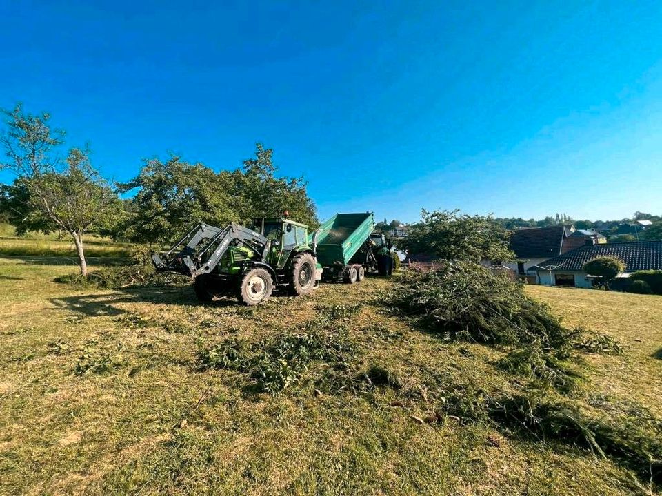 ❗️Häckselarbeiten ❗️ Holz/Entsorgung/Hecken/Forst/Mulchen in Tholey