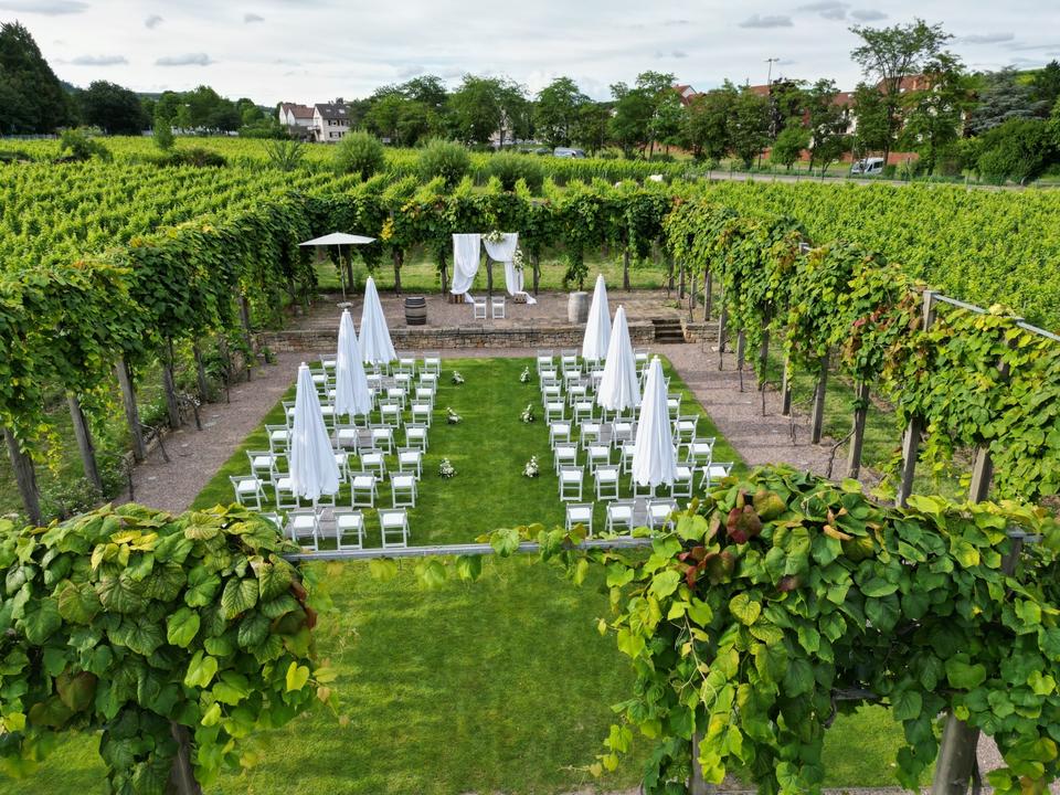 WEDDING Stuhl Hochzeit Trauung Feier -> zur Miete für Ihr Fest in Ludwigshafen