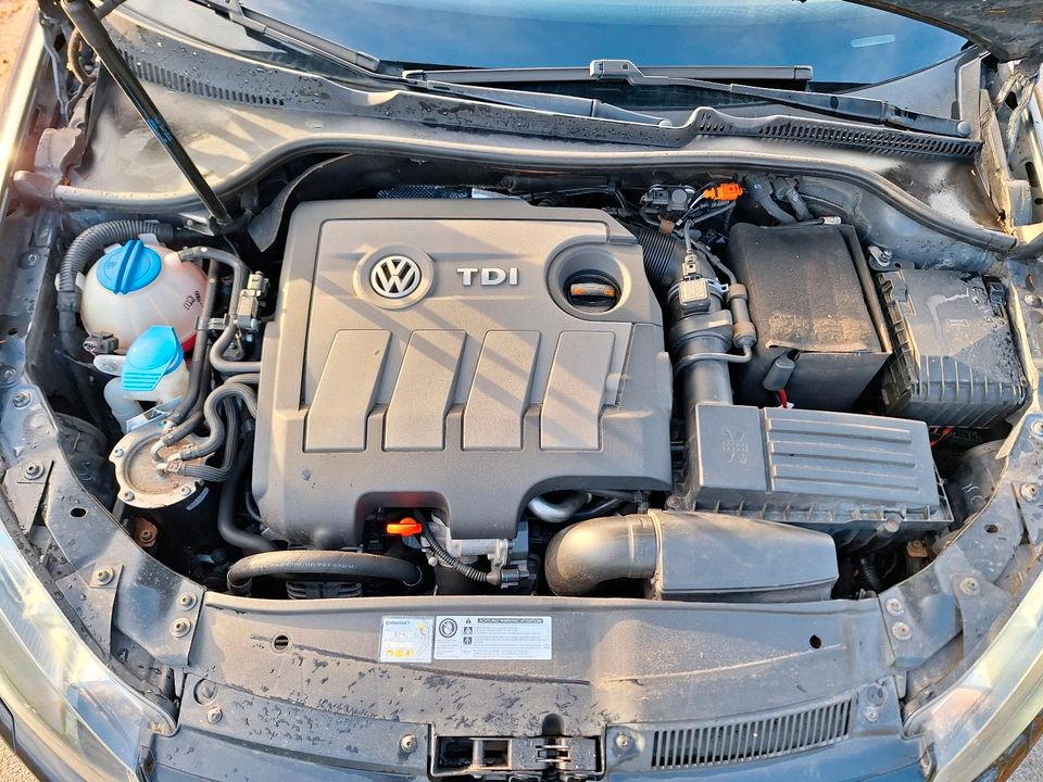 VW Golf 6 Variant 1.6TDI in Ostrhauderfehn