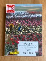 Busch H0 1205 - Bausatz für 120 Rosen in fünf Farben Baden-Württemberg - Böblingen Vorschau