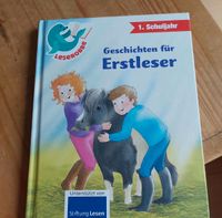 Lesebuch,  Weihnachtsgeschichten, Erstleser,  Ppny, Pferde,  Jung Hessen - Erlensee Vorschau