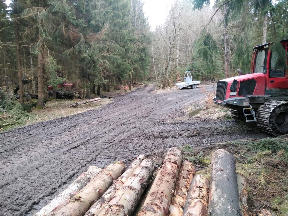 Holzeinschlag Holzrückung Baumfällungen Baumpflege Stubbenfräsen in Zwoenitz