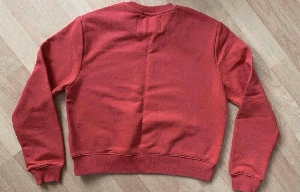 Calvin Klein Hoodie Sweatshirt Pullover Gr.XS rot in Bad Schwalbach